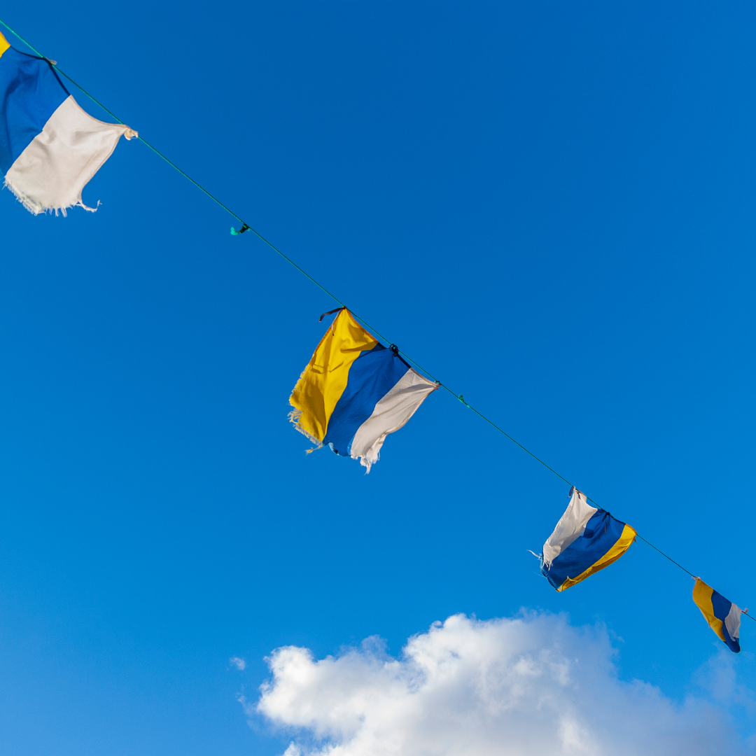 Test gobierno de canarias